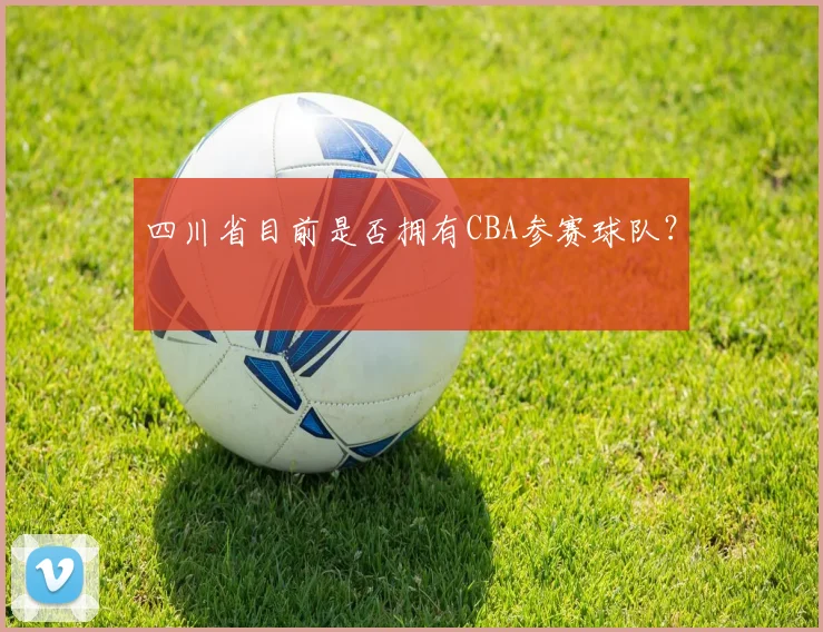 四川省目前是否拥有CBA参赛球队？